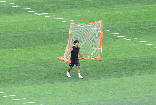 样清晰